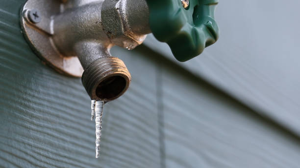 Best Residential Plumbing Services  in South Brooksville, FL