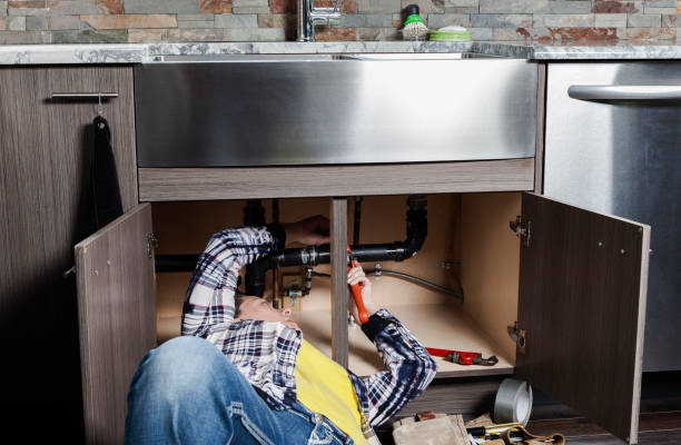 Best Clogged Drain Plumber  in South Brooksville, FL