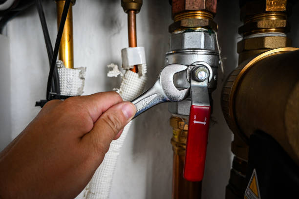 Best Plumbing Services Near Me  in South Brooksville, FL